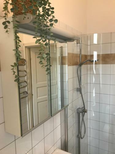 Classic & Light 2 Room Apartment In Sofo, 60 Sqm