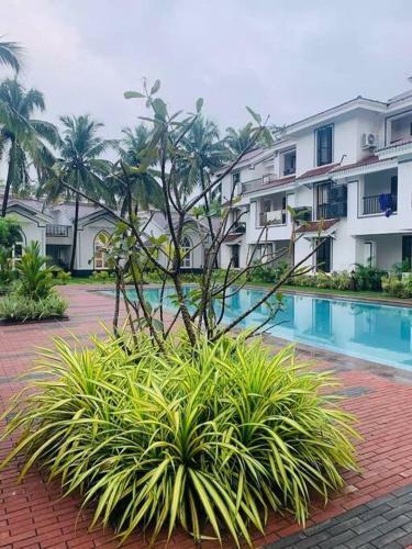 Honeymoon Special Pool-front 1bhk Cozy Apartment