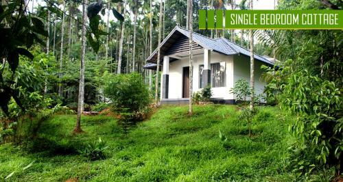 Villa Vintage Garden Resort