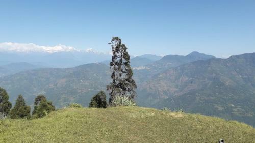 Bed & Breakfast Tashi Delek Cottage Vl Lamahatta, Darjeeling