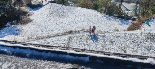 Shimla Hills Apartments 2bhk