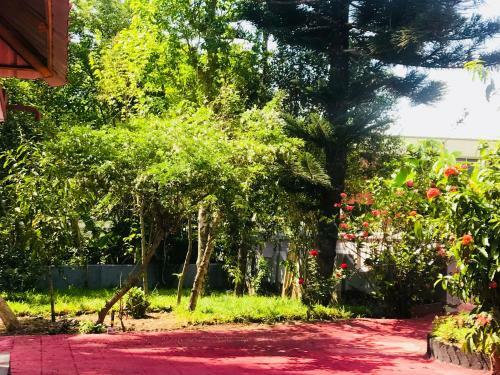 Bed & Breakfast Avalon Grove