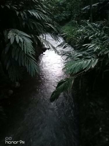 Alencherry Plantation Homestay