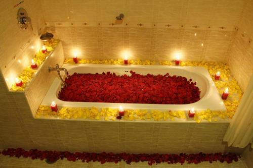 Hotel Dsf Grand Plaza