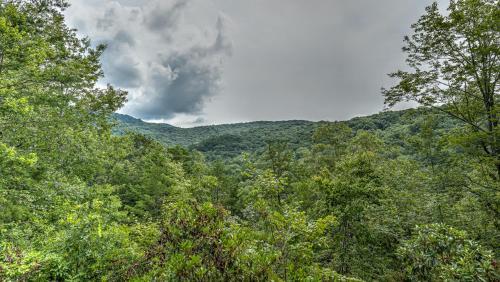 Bluejay By Escape To Blue Ridge