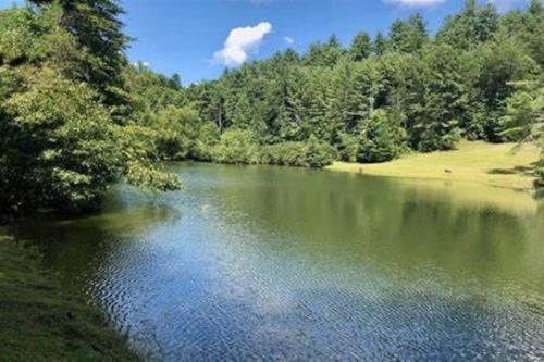 Moonlit Mountain-pond, Fire Pit, Hot Tub, 4 Acres