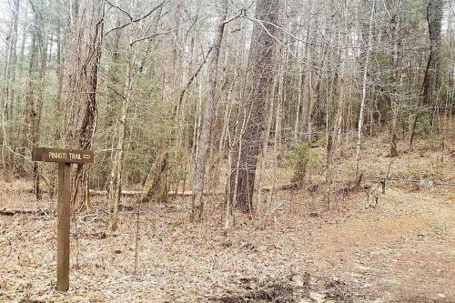 Moonlit Mountain-pond, Fire Pit, Hot Tub, 4 Acres