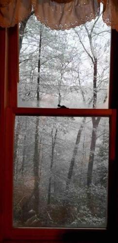 Moonlit Mountain-pond, Fire Pit, Hot Tub, 4 Acres
