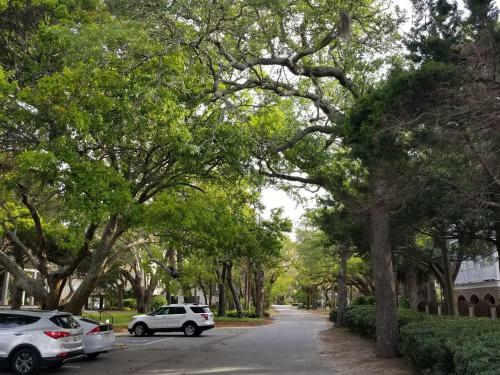 Beautiful 2 Bed - 1 And A Half Bath Condo Built Over Lagoon St Simons Island