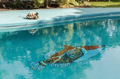 Tropical Pool Cottage Close To Kailua Beach