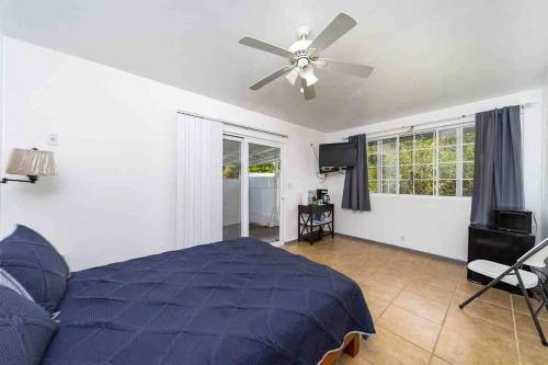 Blue Hawaiian Rentals #2