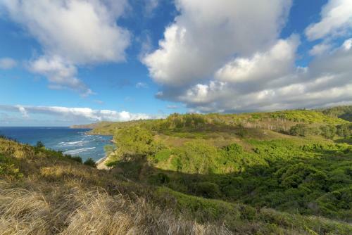 Apartamento Paki Maui 202a