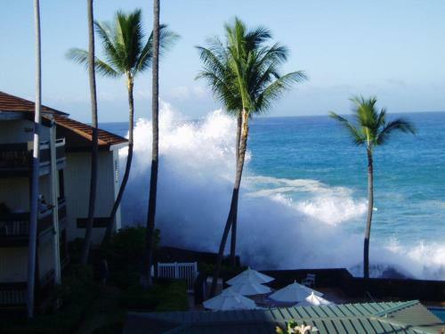 Sea Village #2304
