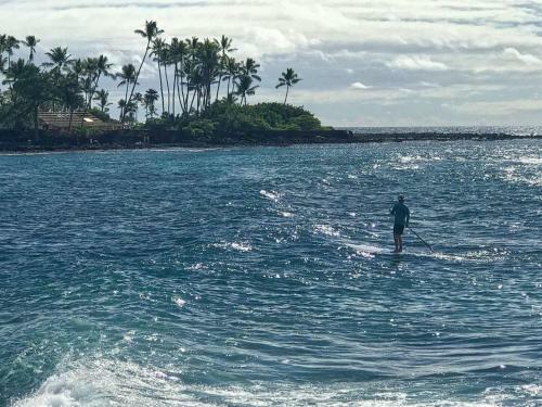 Kona By The Sea By Casago