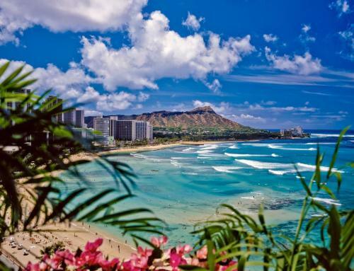 Apartamento 37th Fl. Ocean View, 1 Block To Beach, Parking