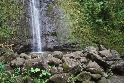Apartamento Kalakauan 511 Condo