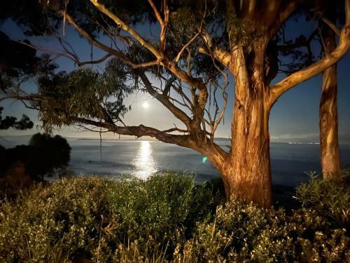 Apartamentos Beachside Taroona With Spa
