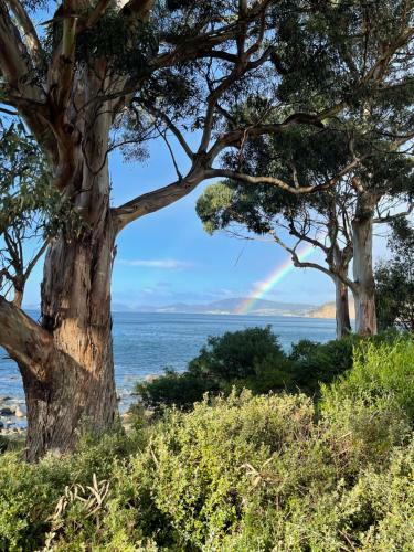 Apartamentos Beachside Taroona With Spa