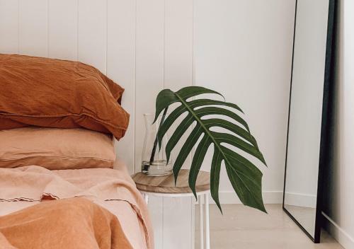 The Slow Monday - Modern Beach Shack