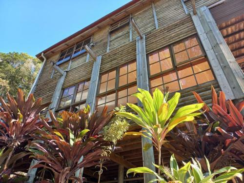 Lodge The Junglehouse Noosa