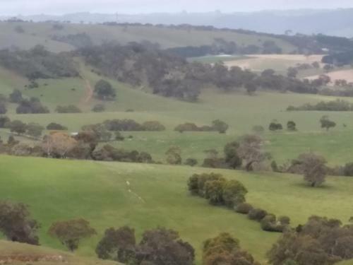 Apartamento Belle Vista