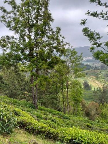 Jfr Campsite Ooty