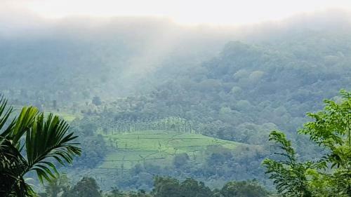 Villa Zalo Wayanad