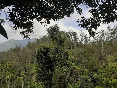 River View Homestay