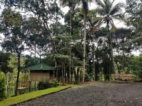 Hornbill Holiday Home