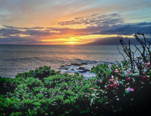 Apartamento Mahina Surf - Lahaina, Hi By Ts