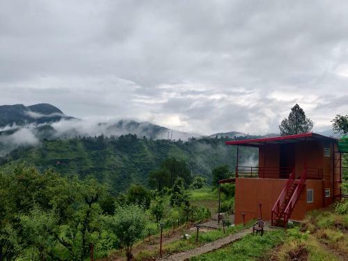 Chamba Nest