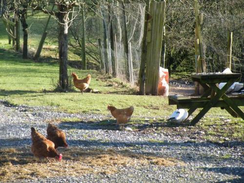 Hostal Burton Farmhouse B&B