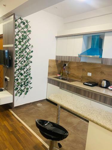 Apartamento The Tiger Square Near India Expo Mart