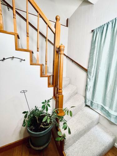 Dt Basecamp W/chef Kitchen, Yard & Dog Friendly