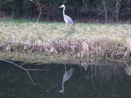 Apartamento Appartement Am Teich