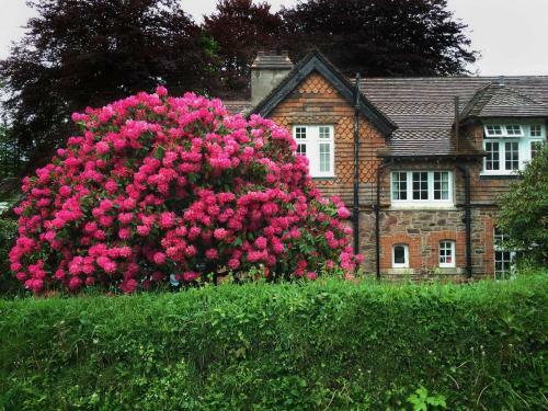 Albergue Yha Exford