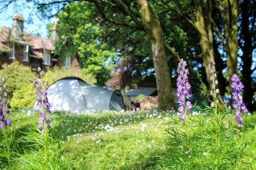 Albergue Yha Exford