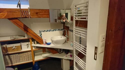 Apartamento Friesenrosen