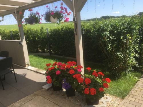 Apartamento Ferien Am Hofe