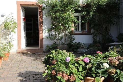 Hotel Julius In Der Pfalz