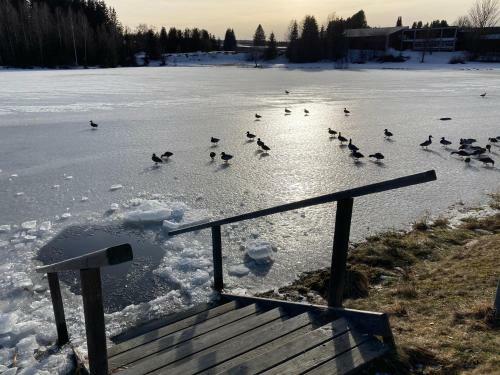Apartamento Ferienwohnung Am See