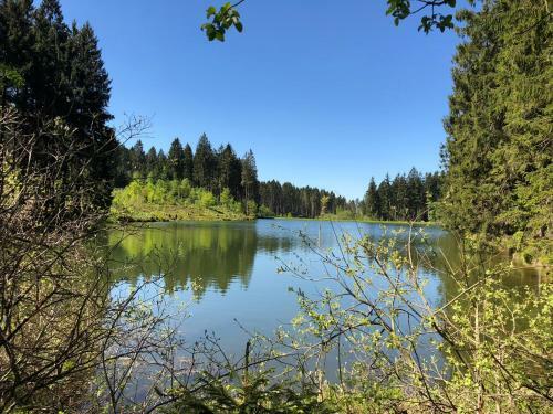 Apartamento Ferienwohnungen Haus Landmann