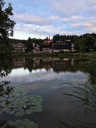 Apartamento Ferienwohnung Hahnenklee 5/138