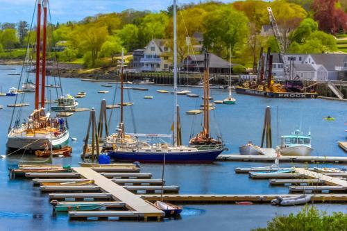 Wiley Cove