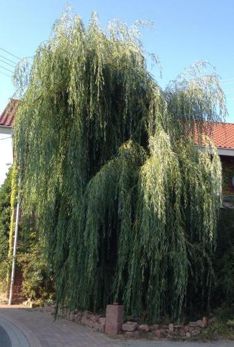 Apartamentos Hofstetters Zeitr�ume
