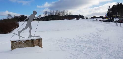 Apartamento Appartement Hauzenberg-panorama