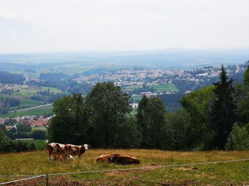 Apartamento Ferienwohnung Waldblick Hauzenberg