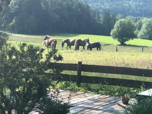 Apartamento Ferienwohnung Sonnenl�ng