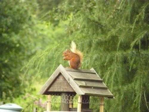 Firwood Country Bed And Breakfast