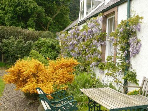 Firwood Country Bed And Breakfast